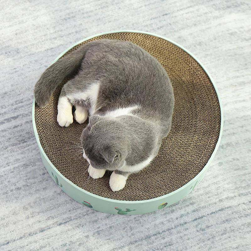 仙人掌猫抓板窝圆形猫抓盆瓦楞纸盆瓦楞纸猫窝猫床猫玩具猫抓盆,淘宝优惠券,粉丝福利购,淘宝优惠卷