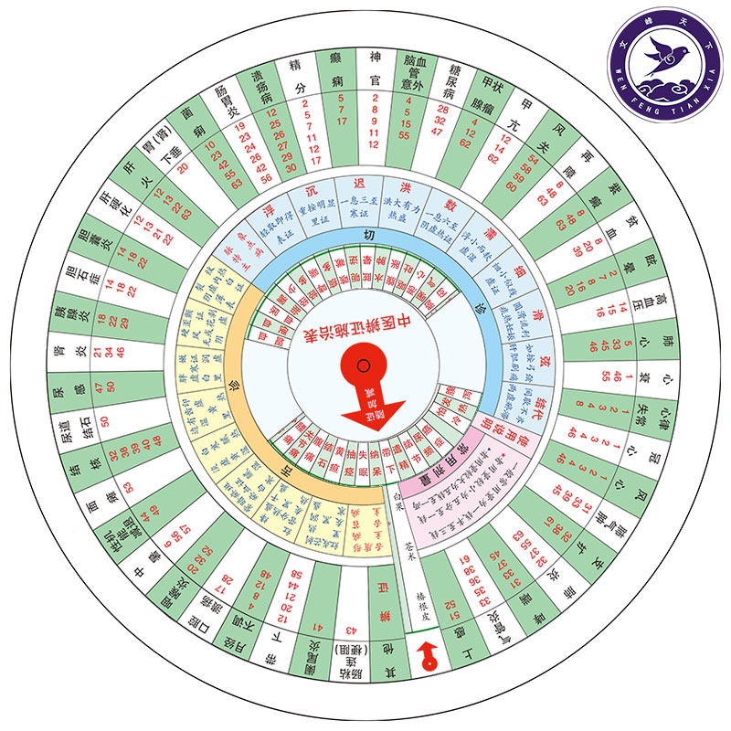 中医辨证施治表卡片圆盘 中医自学表自查盘学习研究辩证盘六纲辩证双面旋转中医基础理论子午流注罗盘脏腑辩证常用方剂表直径21cm - 图1