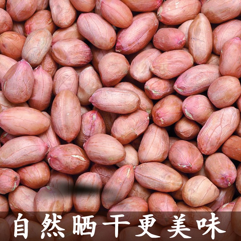四川农家自种花生米散装花生粒花生仁干花生2023年新货大颗粒 - 图1
