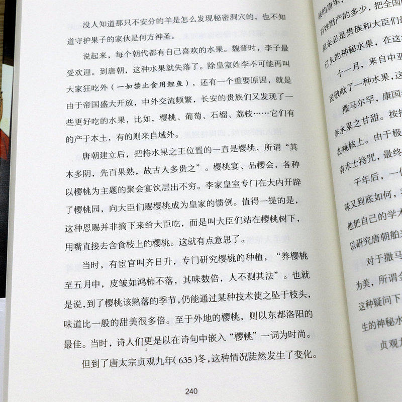 被封印的唐史：盛大帝国的朝野死角 大唐盛衰记吴道子杀局玄武门之谜牛李党争安史之乱说不尽的盛唐隋唐史二十讲书籍