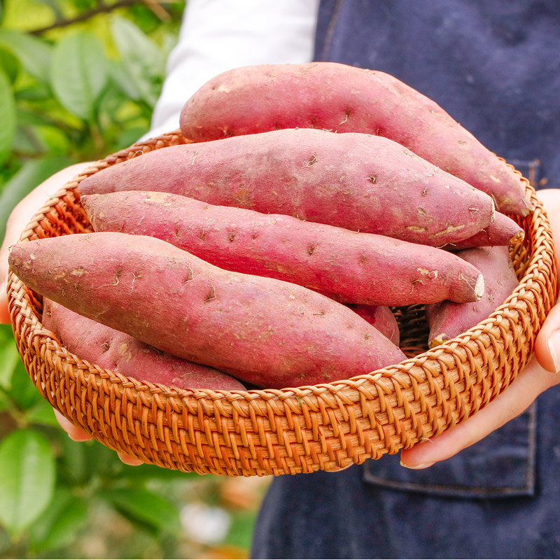 广西西瓜红蜜薯新鲜10斤板栗红薯 黄六爷鲜乐多番薯