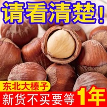 Stir-fried Northeast China Large hazelnut new stock Original Taste Bulky Thin Leather Flat Eu Nut Snacks 200g Special Price Wholesale
