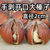 New stock Northeast China big hazelnut 500g 100g thin leather original taste special production opening hand peeling nut snacks manufacturer wholesale
