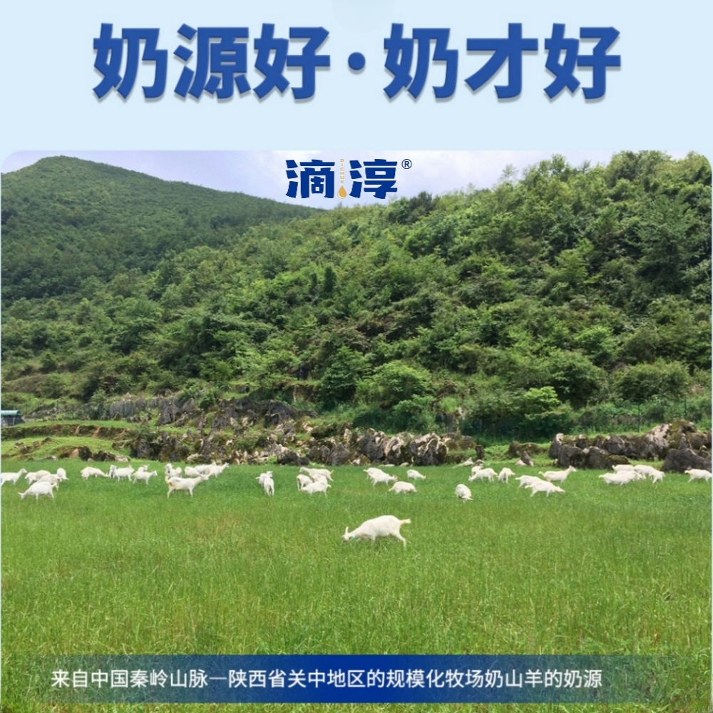 【5月生产】滴淳A2纯羊奶新鲜奶源无添加全脂高钙脱膻儿童中老年 - 图3