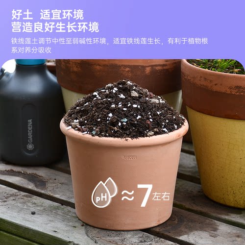 彩乐植铁线莲专用土基质营养土栽培有机盆栽进口泥炭火山石稻壳炭 - 图2