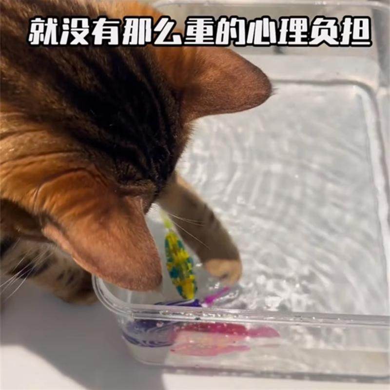 猫咪玩具自嗨解闷神器仿真发光感应观赏宠物电子鱼逗猫玩具,淘宝优惠券,粉丝福利购,淘宝优惠卷