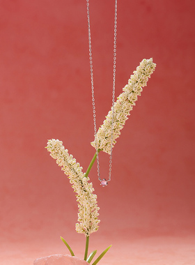 从爱之名S925纯银蔷薇粉星辰项链