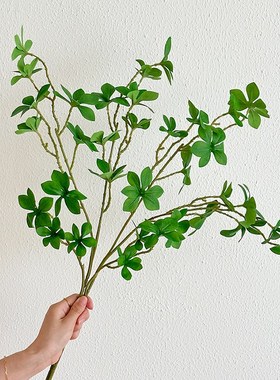 速发高面感小众透明玻璃花瓶摆件客厅插花落地马醉木绿植桌级装饰