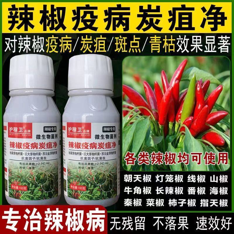 辣椒专用药辣椒炭疽病疫病枯萎病青枯病烂果病斑点病害防治杀菌药