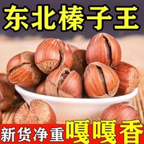 Northeast Opening Large Hazelnut New Stock Original Taste Thin Skin No Sugar Ready-to-use Belt Hulled Northeast Big Hazelnut Wild Big Fruit Nuts
