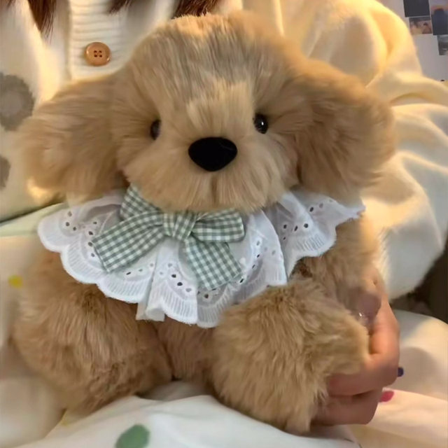 Little golden retriever doll can record DIY material package