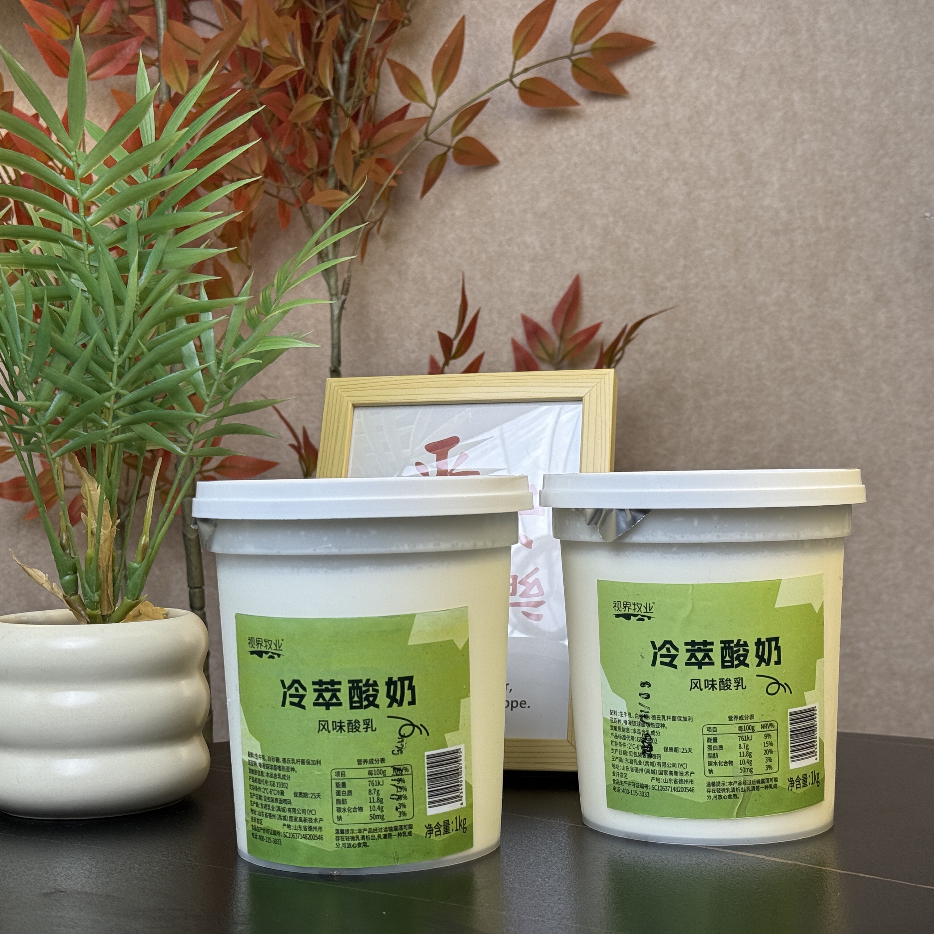 视界牧业酸奶家庭实惠装1KG大桶装干噎酸奶风味酸乳发酵乳酸牛奶 - 图2