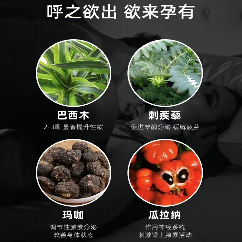  ERBAVITA海外玛咖提取物