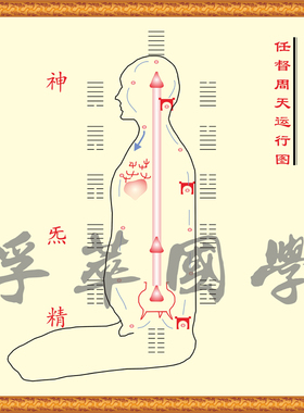 中医人体经络养生理疗壁画