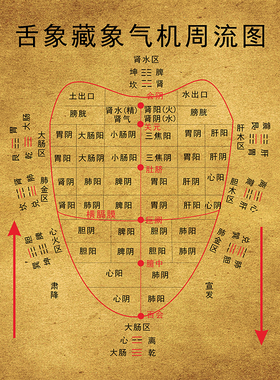 舌象藏象气机周流图养生知识医疗诊所医馆培训中医学习宣传装饰画