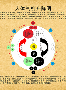 人体气机升降图养生知识医疗诊所医馆培训中医文化学习宣传装饰画