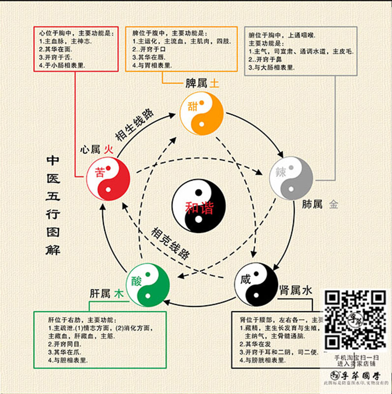 中医五行图解五行生克五脏六腑太极八卦周易经中医基础理论装饰画 - 图0