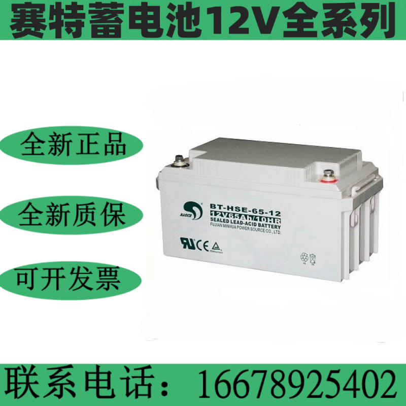 BT-12M24AT12v7ah12a17ah24a33a38a65a海湾消防UPS用 - 图0