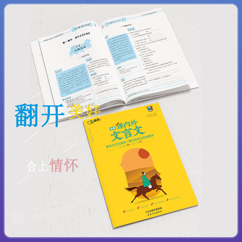 2027一飞冲天课内外文言文七八九年级中考789年级初一二三上册下册中考初中课内古诗文赏析默写课外文言文阅读一飞初中专项练习