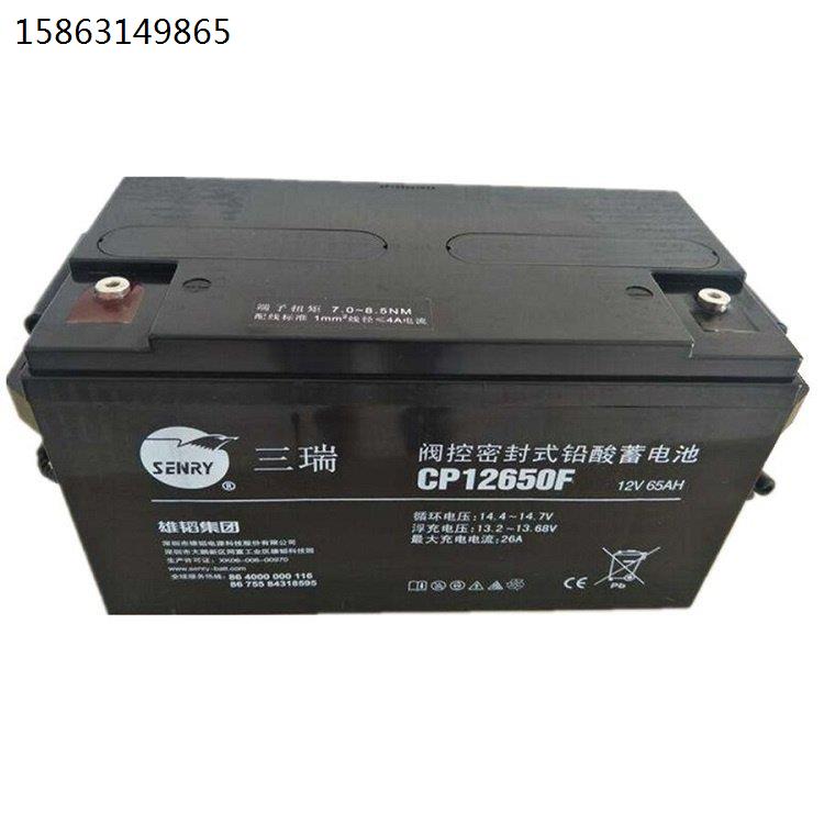 三瑞蓄电池6FM100RY-X 12V100AH机房UPS/EPS电源专用 - 图2