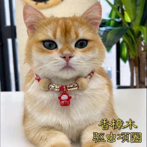 猫咪项圈防跳蚤驱蚊圈猫铃铛长命锁新年围脖狗狗颈圈宠物用品 - 图0