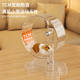 Shushu Silent Transparent Printed Sports Running Wheel without Stuck Feet