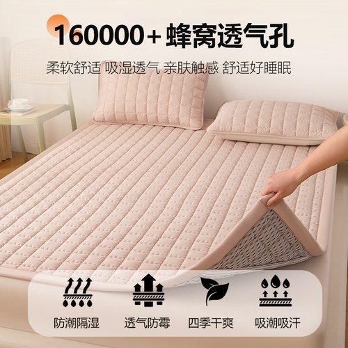 防潮床垫租房专用透气防霉薄款床褥垫家用铺床褥子180x200可折叠 - 图0
