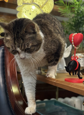 原创小众创意高颜值猫咪手链展示架卡通摆件精美猫咪造型装饰品