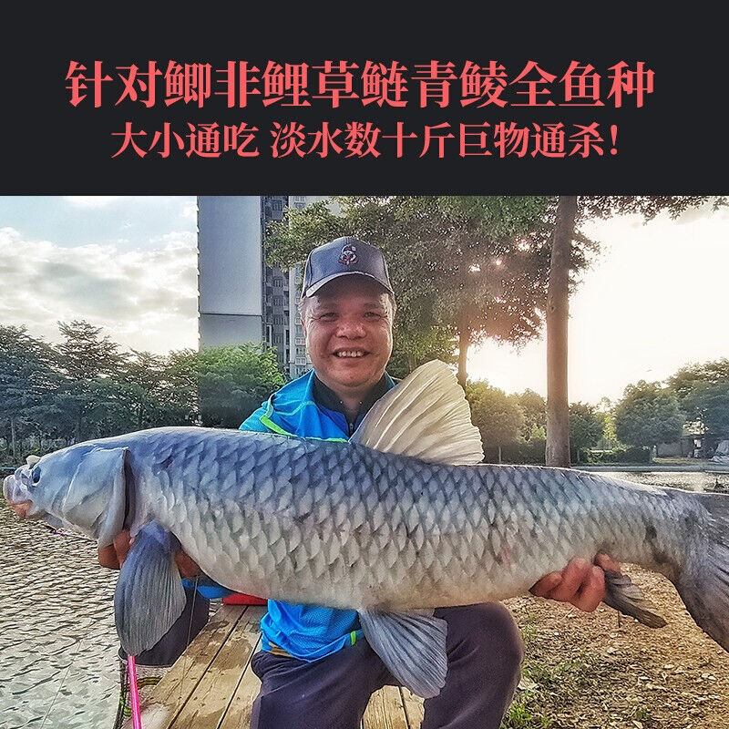 本汀（BenTing）天弧斩月刀鱼竿轻强硬碳素调调鱼杆钓鱼竿手竿台图片