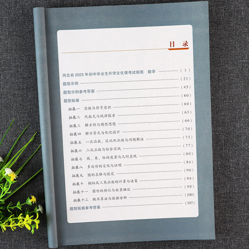 2023河北中考考试说明数学复习资料辅导河北省初中毕业生升学文化课考试指南数学专项练习河北中考考什么大纲解析河北中考必刷题