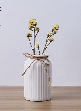 陶瓷干花花瓶小清新欧式餐桌水培白色摆件客厅插花满天星家居装饰