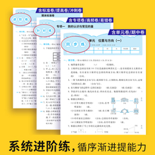 2023春集思广练黄蜂卷试卷小学测试卷