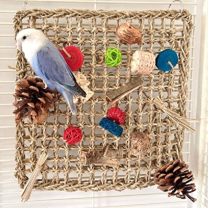 Bird Rope Climbing Net Parrot Swing Foraging Activity Wall - 图1