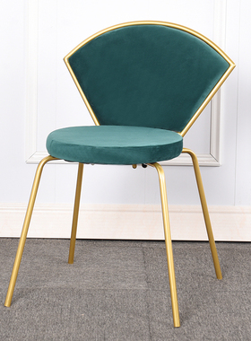 Nordic Dining Chair for Dining Room Leisure Chair Home