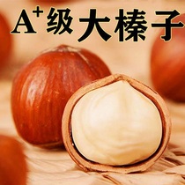 2023 new goods opening large hazelnut thin skin Tohoku Termini production bulky raw flavor fried cooked hand exfoliating with shell American nuts