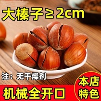 New goods opening large hazelnut cooked thin leather original taste Northeastern special Snack Nuts 200g 500g Wholesale
