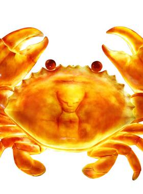 户外发光仿真大螃蟹灯龙虾模型摆件海鲜酒楼雕塑造景亮化装饰挂件