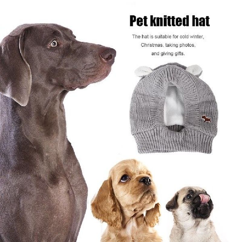 Headgear Dog Ears Autumn Winter Warm Knitted Hat Small - 图0