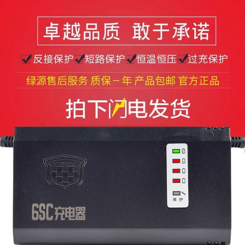 绿源电动车电瓶车智能充电器48V60V72V12/20AH-20E30E40E-T2T - 图3