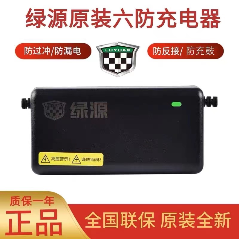 绿源电动车电瓶车智能充电器48V60V72V12/20AH-20E30E40E-T2T-图2