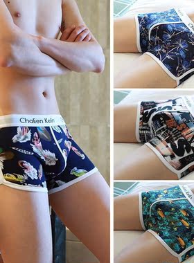 Male Panties Bamboo fiber Men's Underwear Boxers Bre
