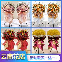 Yunnan opened flower basket barley flowers in Tongcheng Kunmings Zhaotong Yuxi Qu Jing Thuncang Lingang Distribution