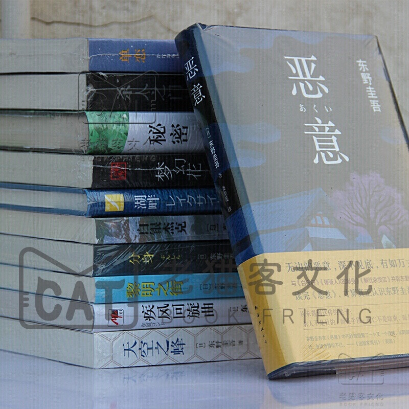 东野圭吾小说集全集100册白鸟与蝙蝠 祈祷落幕时 白夜行 恶意 解忧杂货店 嫌疑人x的献身 秘密日本侦探悬疑 作品全集 - 图3