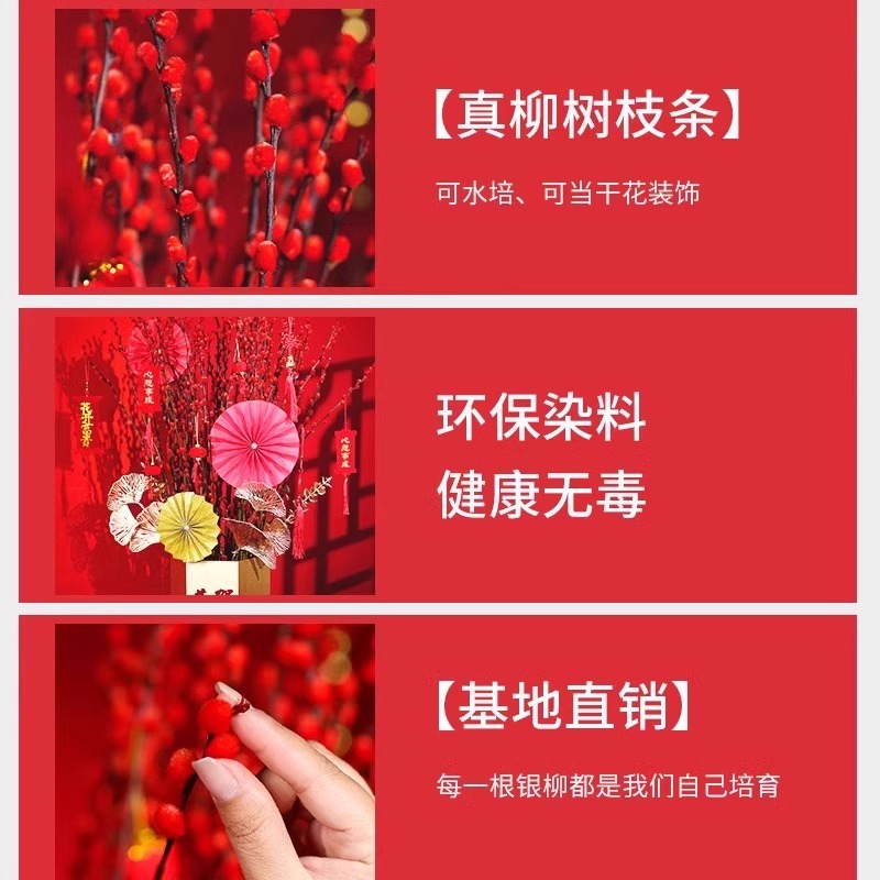 银柳真花鲜枝客厅摆件四季耐寒干花新年红色福桶招财年宵花卉盆栽 - 图1