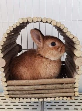 Wooden Rabbit Hideout Rabbit Hamster House Teeth Grinding