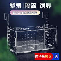 Net Red Fish Tank Isolation Case Acrylic Peacock Fish Breeding Box Spawning House Small Fish Fry Hatching Box Isolation Net