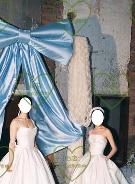 ins风蝴蝶结拍照背景装饰定制