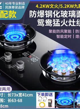新飞燃气灶双灶嵌入式天然气灶台式液化气灶家用炉具猛火煤气灶