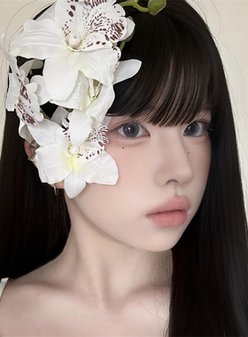 白色蝴蝶兰百合花枝发夹女刘海夹