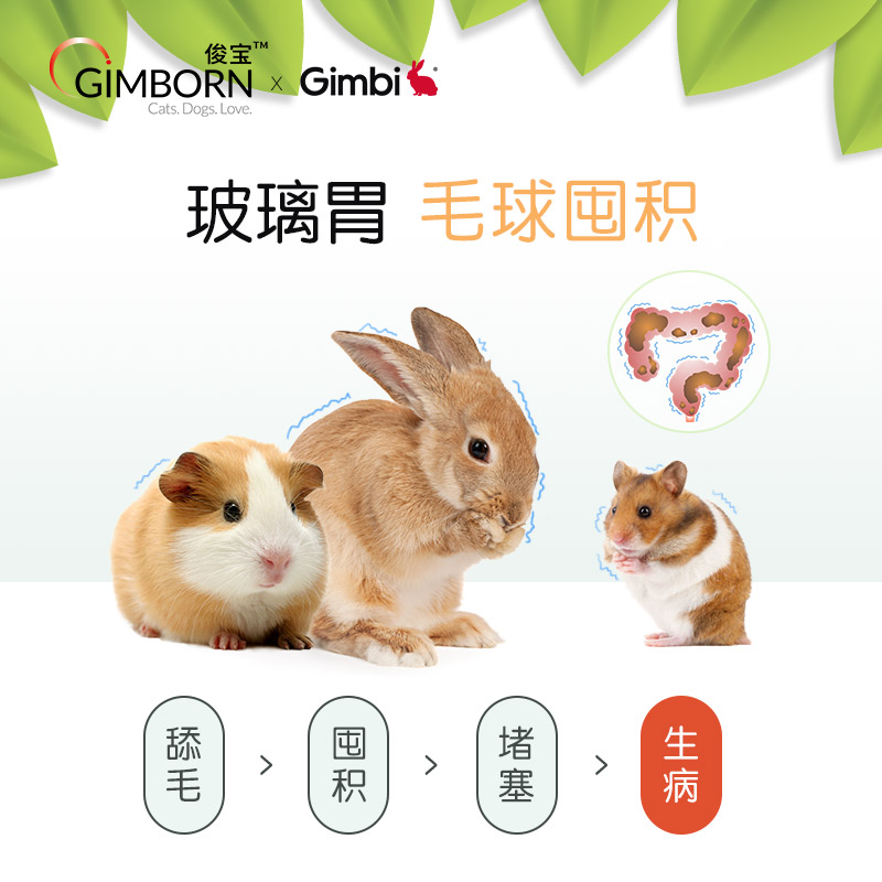 Gimborn俊宝小宠化毛膏护肠排毛球通便益生元益肠胃木瓜分解毛发-图3